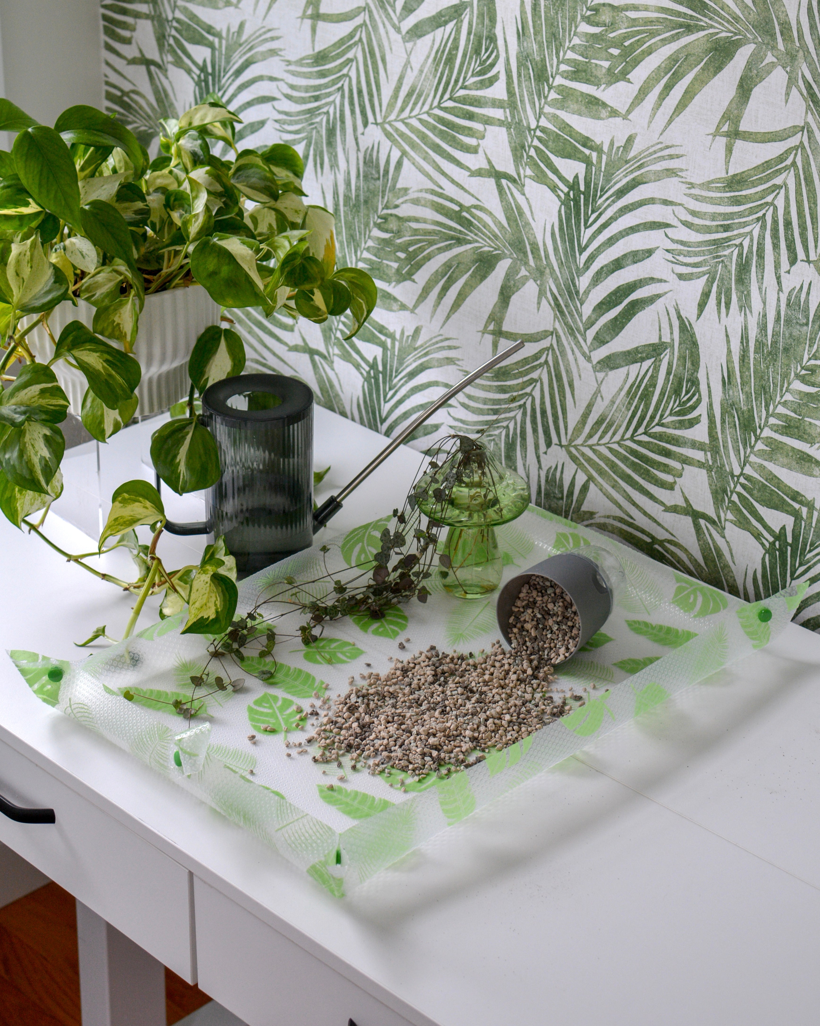house plant mats THE LARGE PLANTMAT