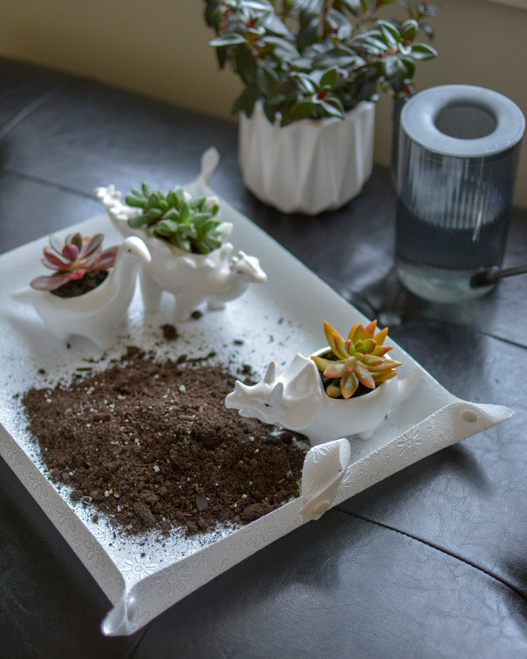 THE REGULAR PLANTMAT