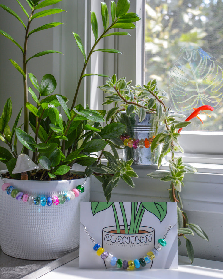 THE BEADED PLANTLACE