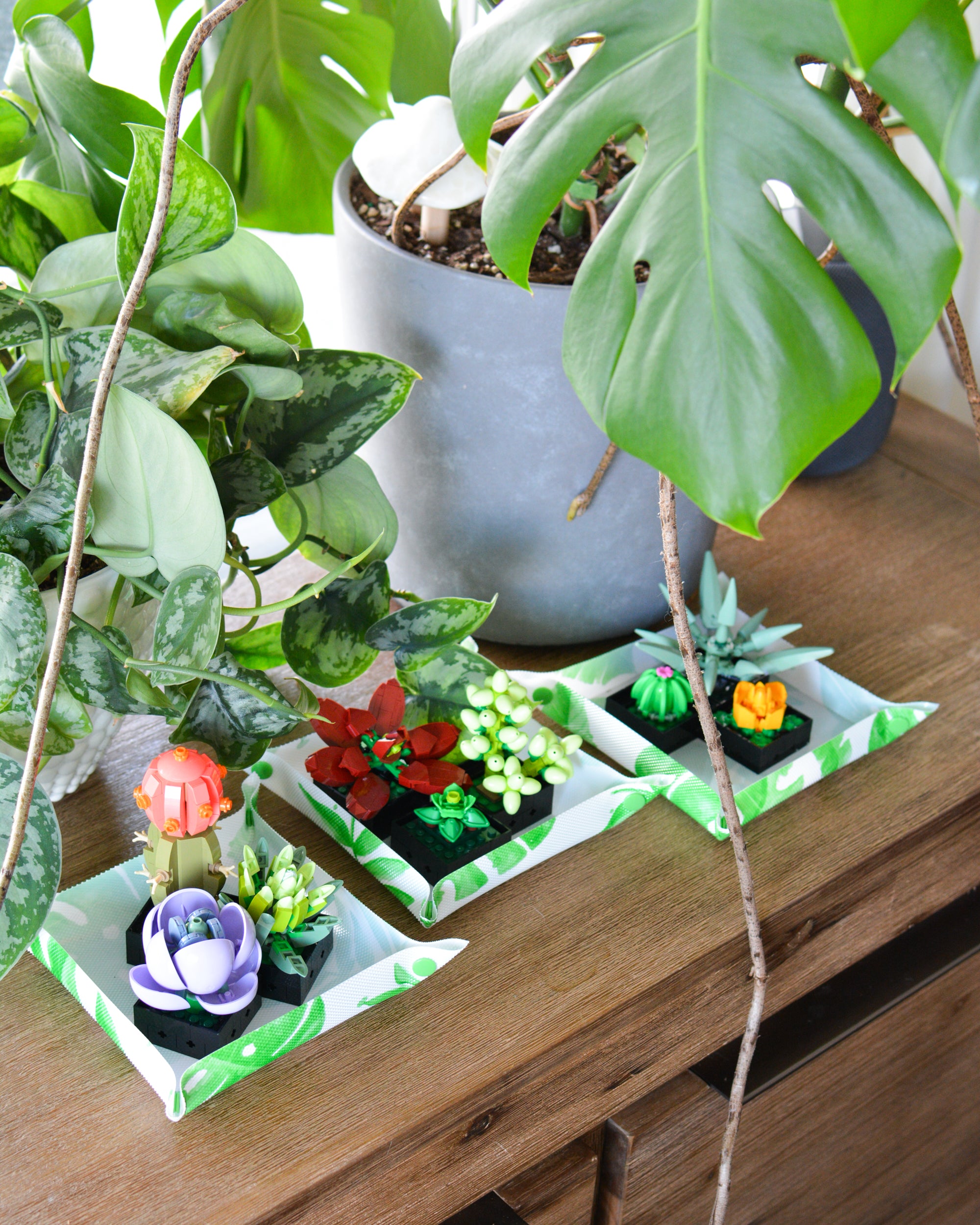 THE GARDEN PACK