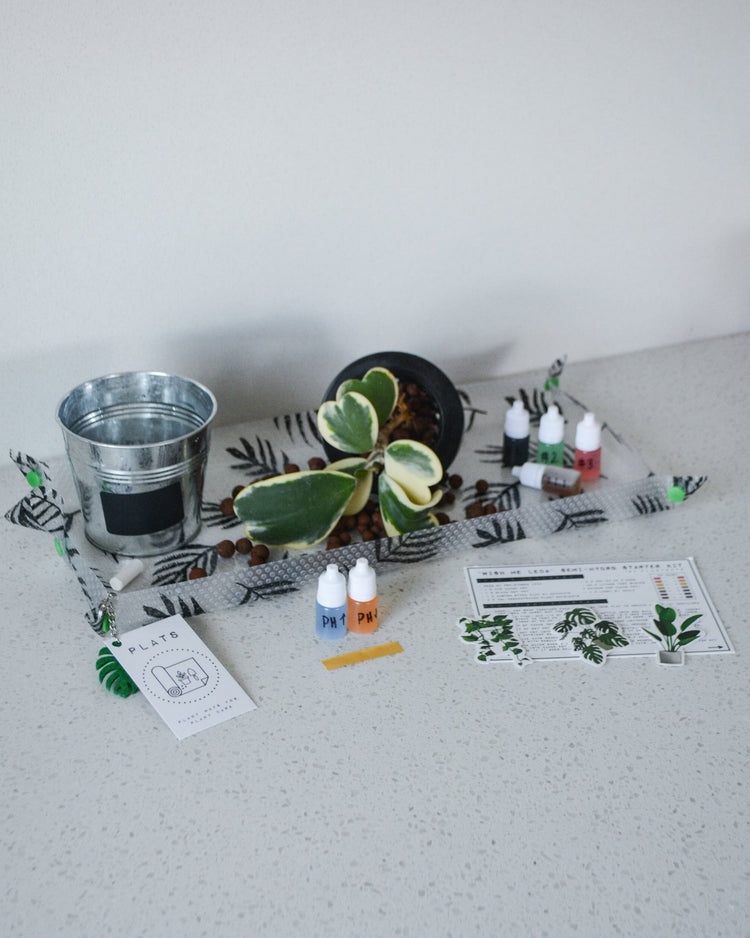WISH ME 'LECA' KITS