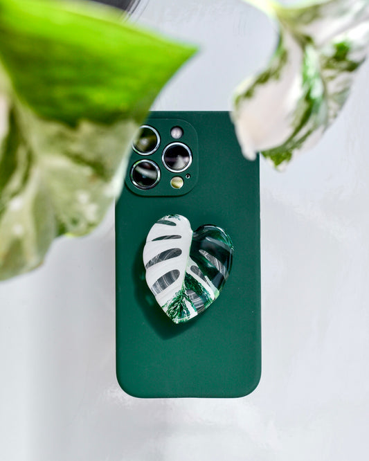 MONSTERA ALBO POP SOCKET